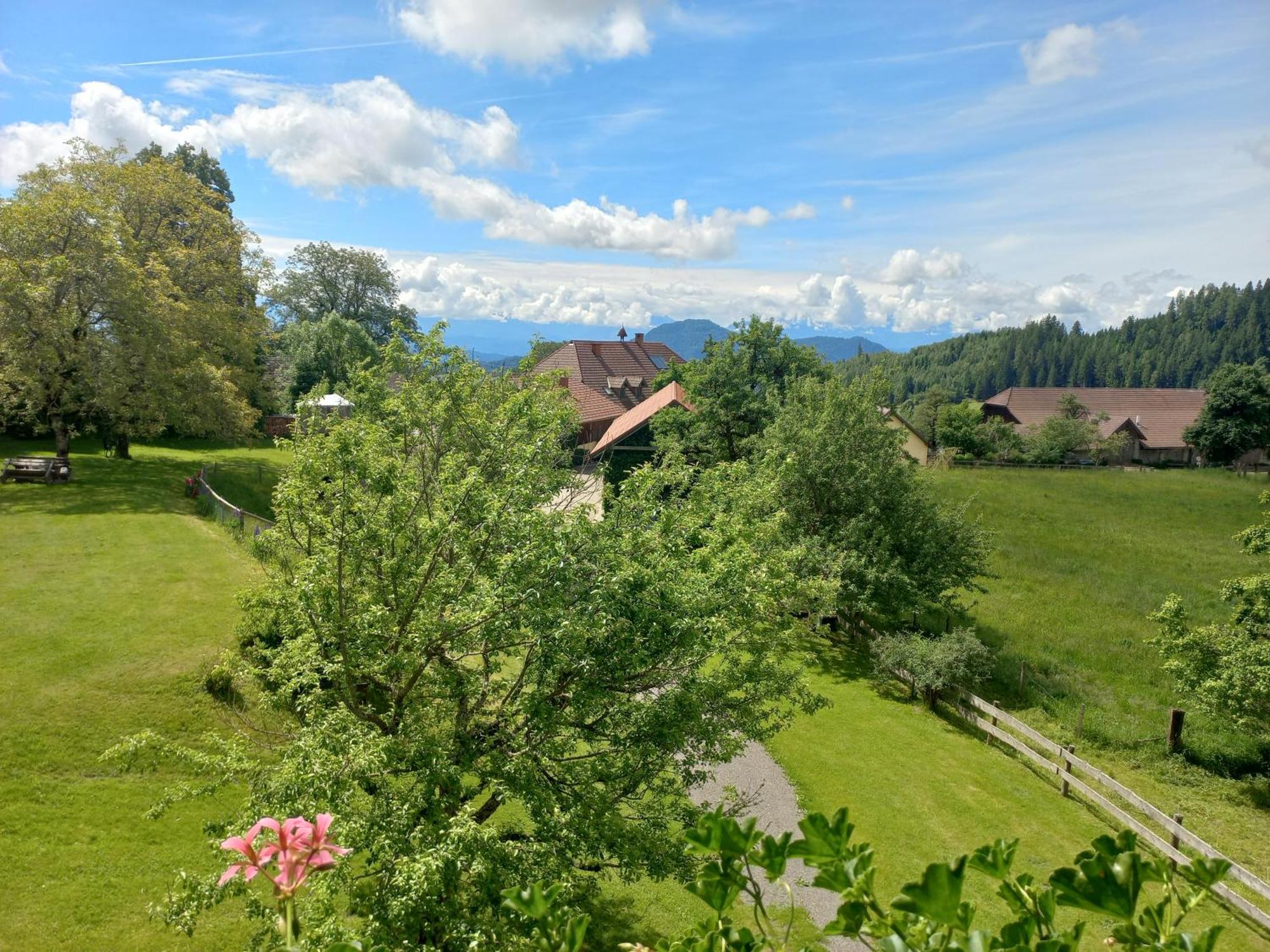 Steurer Hof Apartment Liebenfels Exterior foto